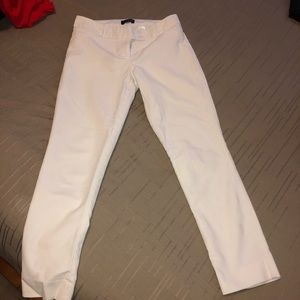 Dress pants